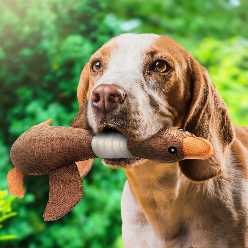 Dog Chew Toy | Durable Chew-Resistant Design for Active Dogs