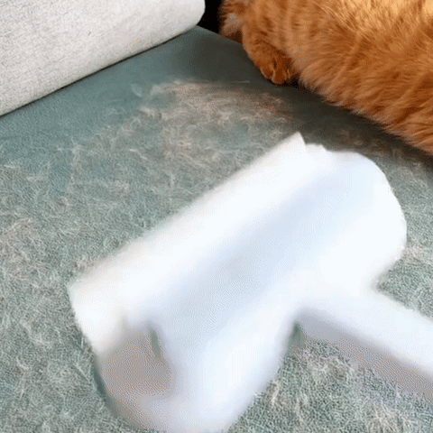 Pet Hair Remover Brush | 3-in-1 Reusable Lint Cleaner | Carpet &amp; Furniture Hair Removal
