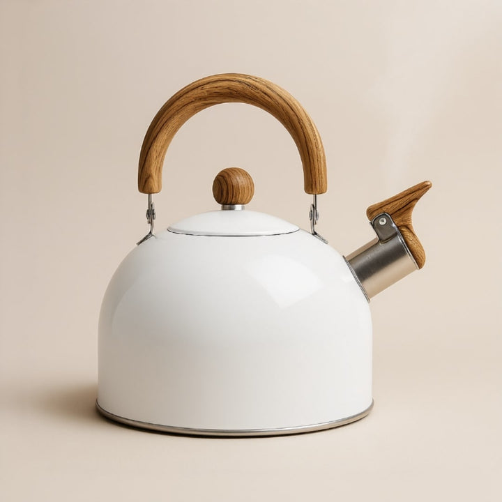 Stovetop Kettle for Induction &amp; Gas | Retro Design